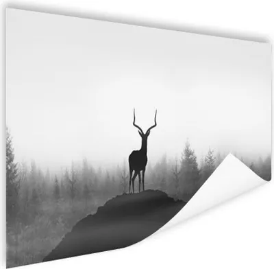 Produktbild von MuchoWow® Poster Rotwild - Schatten - Natur 120x80 cm - Bilder
