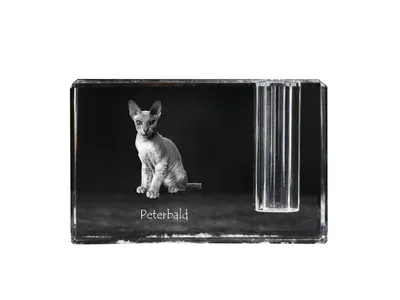 Produktbild von Peterbald - Stifthalter, Kristallorganizer mit Katzenfoto, einzigartige Schreibtischdekoration der Marke Art-Dog