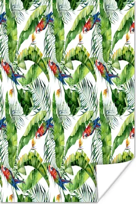Produktbild von MuchoWow® Poster Blumen - Paradiesvogelpflanze - Papagei 80x120 cm - Papierdruck