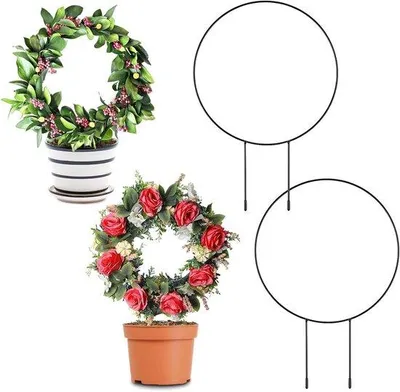 Produktbild von Klimhilfe für Zimmerpflanzen und Garten - 2 Stück