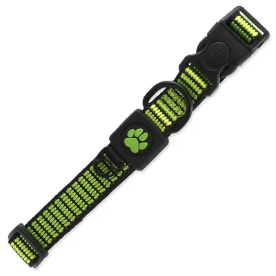 Obrázek produktu pro Obojek Active Dog Strong M limetka 2x34-49cm