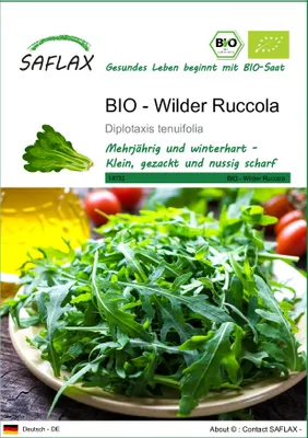 Produktbild von SAFLAX - BIO - Wilder Ruccola - 1500 Samen - Diplotaxis tenuifolia