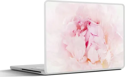 Produktbild von MuchoWow® Laptop Aufkleber Sticker Cover Nahaufnahme einer dichten rosa Pfingstrose 30x22 cm - Laptop-Sticker