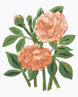 Produktbild von Zuty - Malen nach Zahlen - ROSEN (ALEXANDRIA GILBERT), 40x50 cm, ohne Keilrahmen