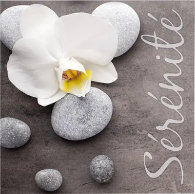 Image de Lot de 20 serviettes papier serenite