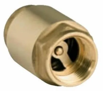 Image de Soupape de non-retour à ressort, diamètre 3