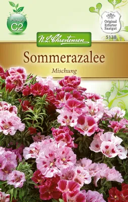 Artikelbild 1 von 'Sommerazalee Mischung' aus der Kategorie Azaleensamen