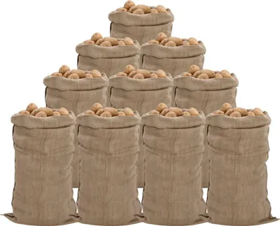 Obrázek produktu pro Jutové pytle 10 kusů 65 x 135 cm 100 % juta 340 g/m²