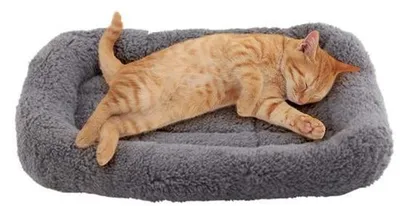 Image de Lit pour chat moelleux 38 x 26 cm, chaud, antidérapant, lavable