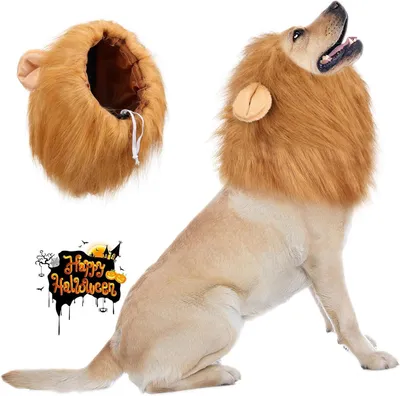 Immagine prodotto di Costume da leone per cani, con criniera in piume artificiali, taglia media/grande, ideale per Halloween
