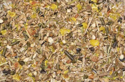 Produktbild von Mijten Esel Exklusiv Müsli für Esel 12 kg