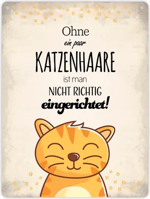 Produktbild von Metallschild XL mit Spruch: Ohne ein paar Katzenhaare ... Schild Blechschild