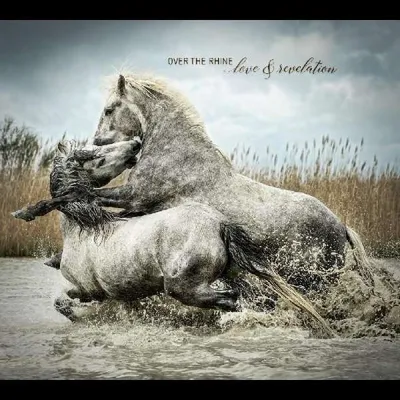 Produktbild von Over The Rhine - Love & Revelation Vinyl