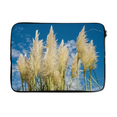 Produktbild von MuchoWow® Laptop Hülle 14 ZollPampasgras - Pflanze - Natur Laptoptasche - Laptoptasche - Stoßsicher - Schutzhaube