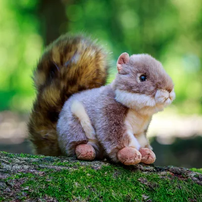 Immagine prodotto di Animigos scoiattolo di peluche
