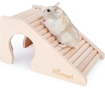 Immagine prodotto di Casetta per criceti con scaletta a forma di trapezio, realizzata in compensato di betulla, adatta per criceti nani, gerbilli e topi