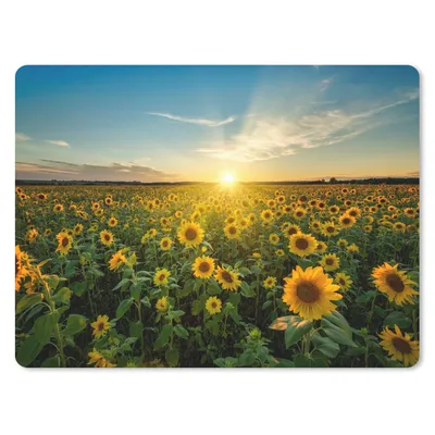 Produktbild von MuchoWow® Mauspad Mousepad Sonnenuntergang - Blumen - Sonnenblume - Horizont - Landschaft 23x19 cm - Mousepads - Maus Mat - Pad - Mausunterlage - Schreibtischunterlage - Mauspad