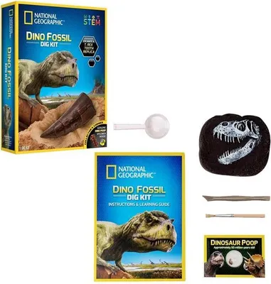 Produktbild von Ausgrabungsset Dino, enthält: Ausgrabungswerkzeug,