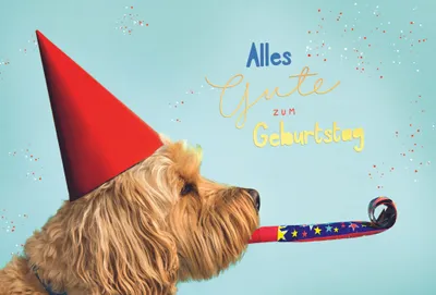 Produktbild von Geburtstag Alles Gute Hund mit Tröte Glückwunschkarte mit Umschlag