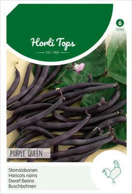 Productafbeelding van Buschboon 'Purple Queen' (100 g) | Zaad van struikbonen van Hortitops