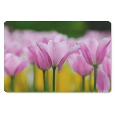 Produktbild von MuchoWow® Schreibtischunterlage Blumen - Tulpen - Rosa 60x40 cm - XXL Mauspad - Großes Mauspad