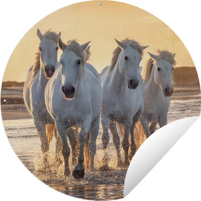 Produktbild von MuchoWow® Gartenposter Outdoor-Poster Rund Pferde - Wasser - Strand - Tiere Ø 120 cm Gartendeko Rundes Poster draußen