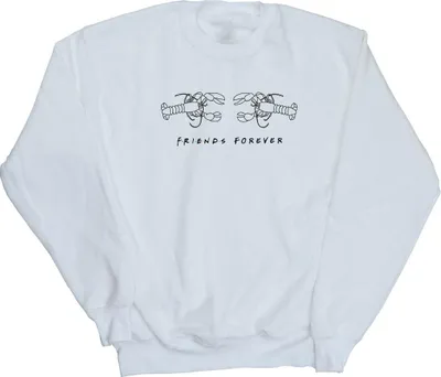 Produktbild von Friends - Sweatshirt für Herren BI24913 (XL) (Weiß)