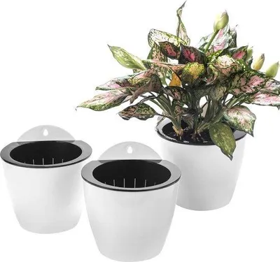 Image de Lot de petits pots de fleurs blancs