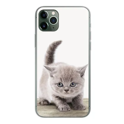 Produktbild von MuchoWow® Handyhülle Schutzhülle Hülle für iPhone 11 Pro Max Kätzchen - Katze - Haustiere - Jungen - Kinder - Mädchen Silikon Softcase Handy Hülle - Schutz