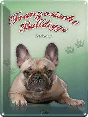 Produktbild von vianmo Blechschild 40x30 cm Hund Französische Bulldogge
