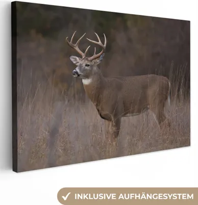 Produktbild von OneMillionCanvasses® - Leinwandbilder - 150x100 cm, Herbst - Hirsche - Gras - Natur - Tiere, Wandbilder Kunstdruck Wanddekoration