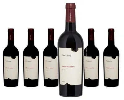 Produktbild von 6 x Paladin Drago Rosso Merlot