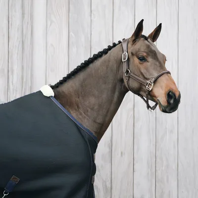 Produktbild von Kentucky Horsewear 3D Spacer Cooler Sheet