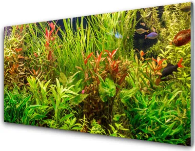 Immagine prodotto di Stampe su vetro acrilico, dimensioni 100x50 cm, ideale per decorare pareti. Motivo: foglie e piante