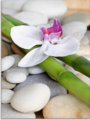 Produktbild von ARTland Glasbild Zen Orchidee Größe: 60x80 cm
