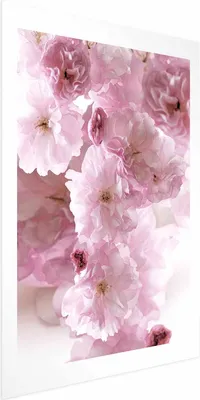 Produktbild von Posterpapier Poster - Floral Mist 21x30 cm Blumen b-C-0401-ao-a