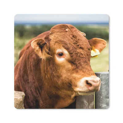 Produktbild von MuchoWow® Mauspad Mousepad Schottischer Highlander - Berg - Zaun 20x20 cm - Mousepads - Maus Mat - Pad - Mausunterlage - Desk Mat - Bureauartikeln