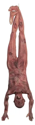 Zdjęcie produktu dla Halloweenowe zwłoki 150 cm lateksowa dekoracja całego ciała zombie