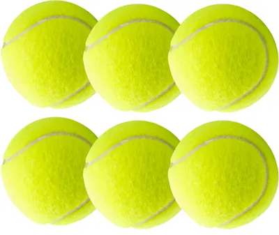 Immagine prodotto di 6 palline da tennis gialle per allenamenti e competizioni - Cani - Lavatrice