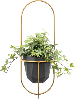 Produktbild von FRAMADO, Pflanzregal Wand, Blumenhalter Metall Hängend 18x21x50cm, Piano Gold