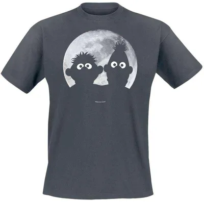 Produktbild von Sesame Street T-Shirt Herren Ernie und Bert - Moonlight - Heavyweight schwarz XXL