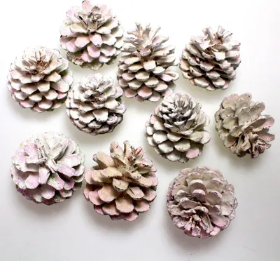 Produktbild von 10 Pinienzapfen ca. 6-8cm weiß Glitzer Baumzapfen Deko Zapfen Winter Weihnachten