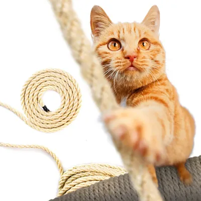 Produktbild von DQ-PP SISALSEIL | 50 m | 8 mm stark | Natürliches Sisal Seil für Kratzbaum Katzenbaum | Kratzseil DIY Fuer Katzen Ersatzteile