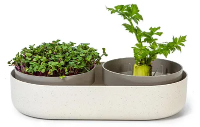 Artikelbild 1 von 'Sprossenschale & Pflanzschale ReGrow' aus der Kategorie Keimschale