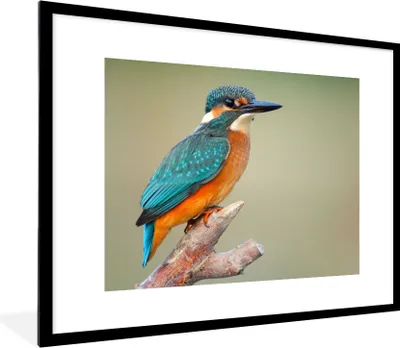 Produktbild von MuchoWow® Gerahmtes Poster Vogel - Eisvogel - Zweig 80x60 cm - Poster mit Schwarzem Bilderrahmen Wandposter Rahmen Foto Bilder - Schlafzimmer-Dekorationen - Fotoposter