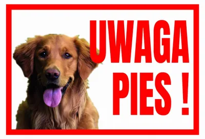 Zdjęcie produktu dla TUP-6 Tabliczka ostrzegawcza UWAGA PIES RETRIEVER