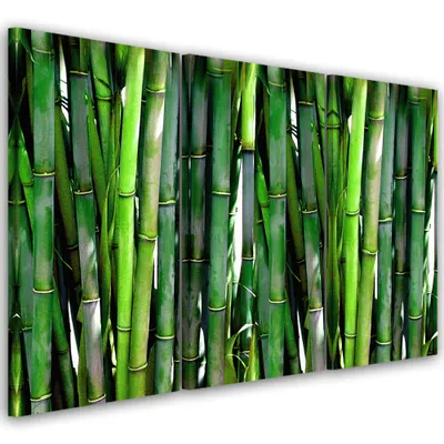 Produktbild von Triptychon auf leinwand religiöses - grün 120x80 cm Feeby grün wandbild bereit zum aufhängen