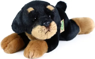 Immagine prodotto di Cagnolino di peluche Rottweiler, 30 cm, ECO-FRIENDLY