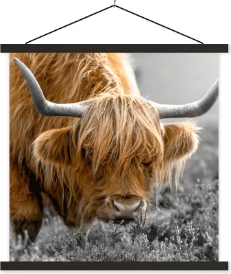 Produktbild von MuchoWow® Textilposter Scottish Hochlandrind - Pflanzen - Schwarz - Weiß 60x60 cm mit schwarzem Rahmen - Posteraufhänger