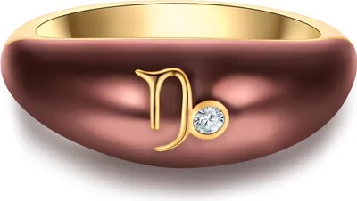 Produktbild von Glanzstücke München Ring Sternzeichen Steinbock Sterling Silber Zirkonia 50084147 60